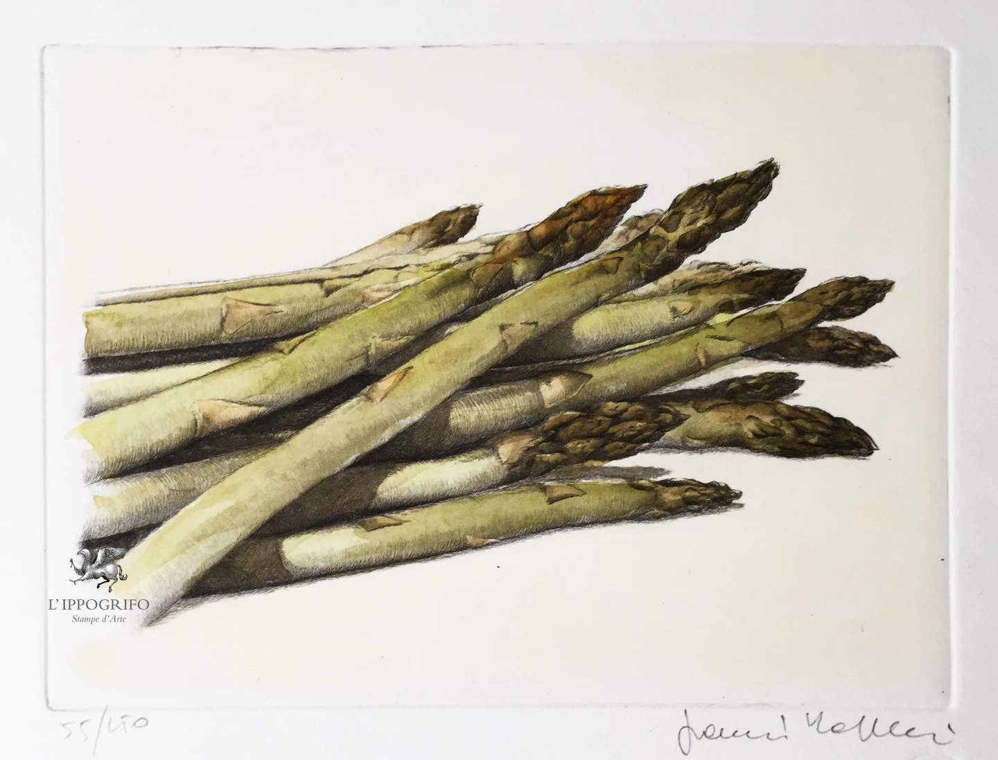 Asparagus