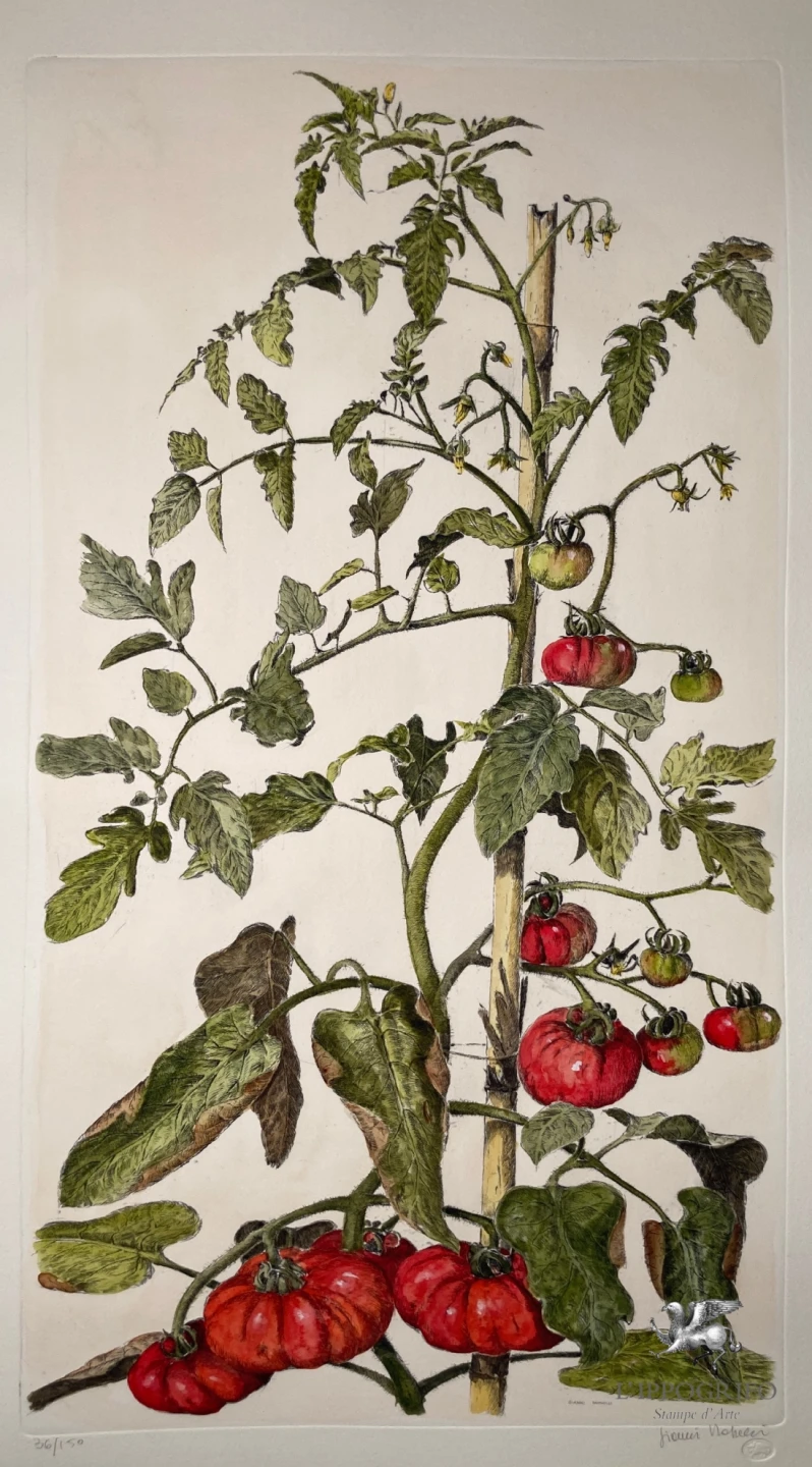 Pomodori