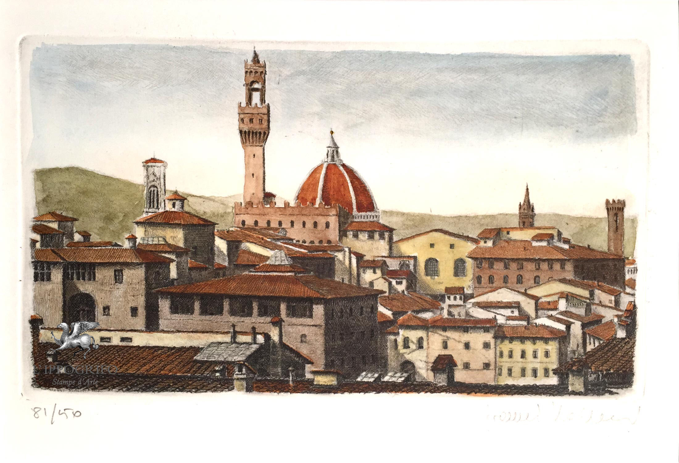 The roofs of Florence