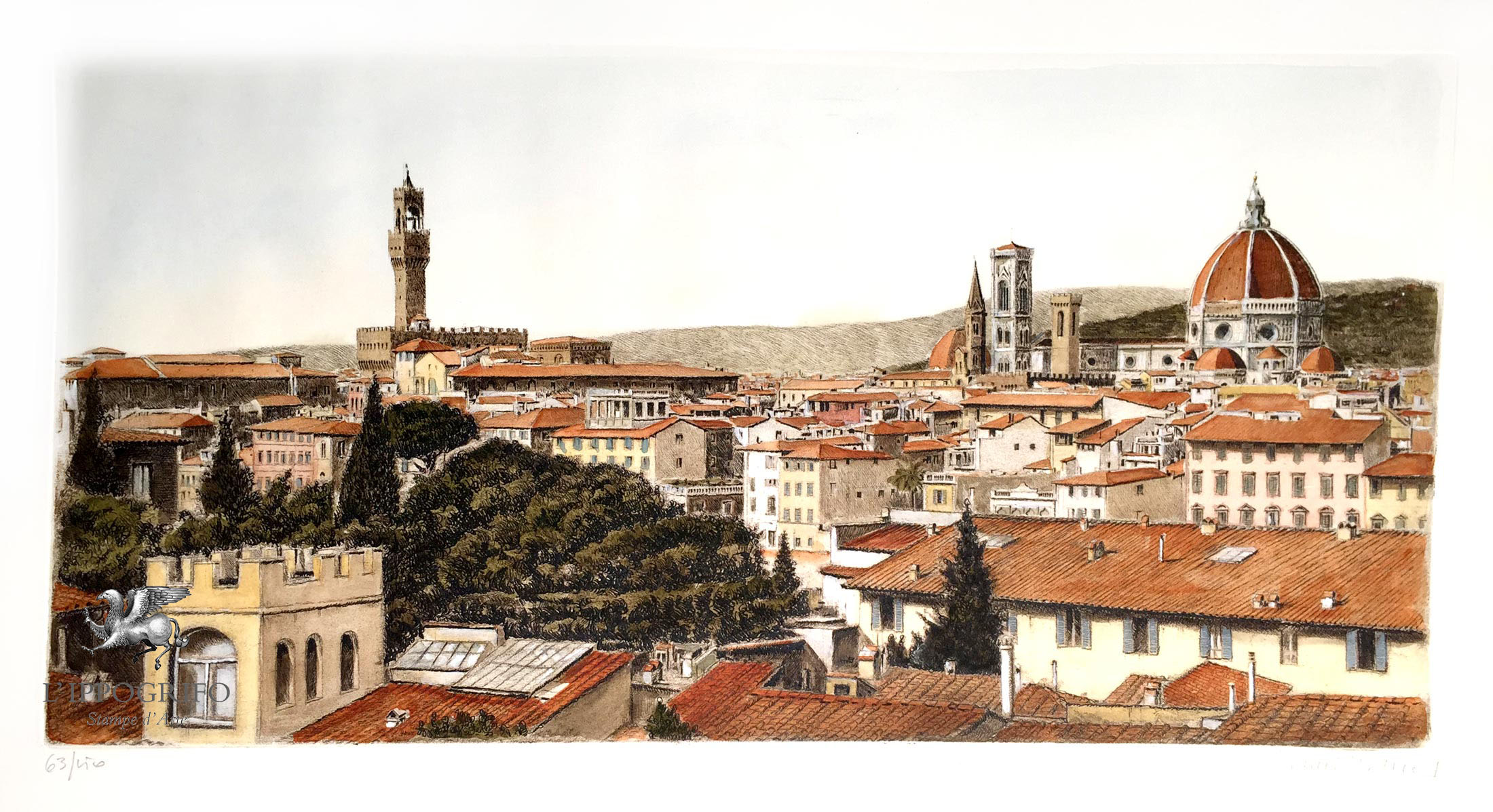 Florence Seen from the Rooftops