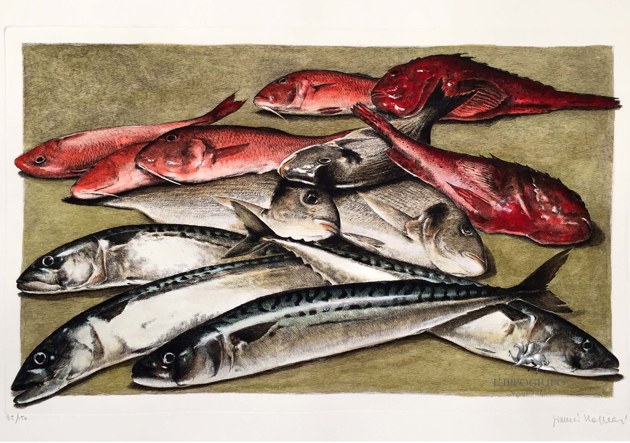 Fish Composition