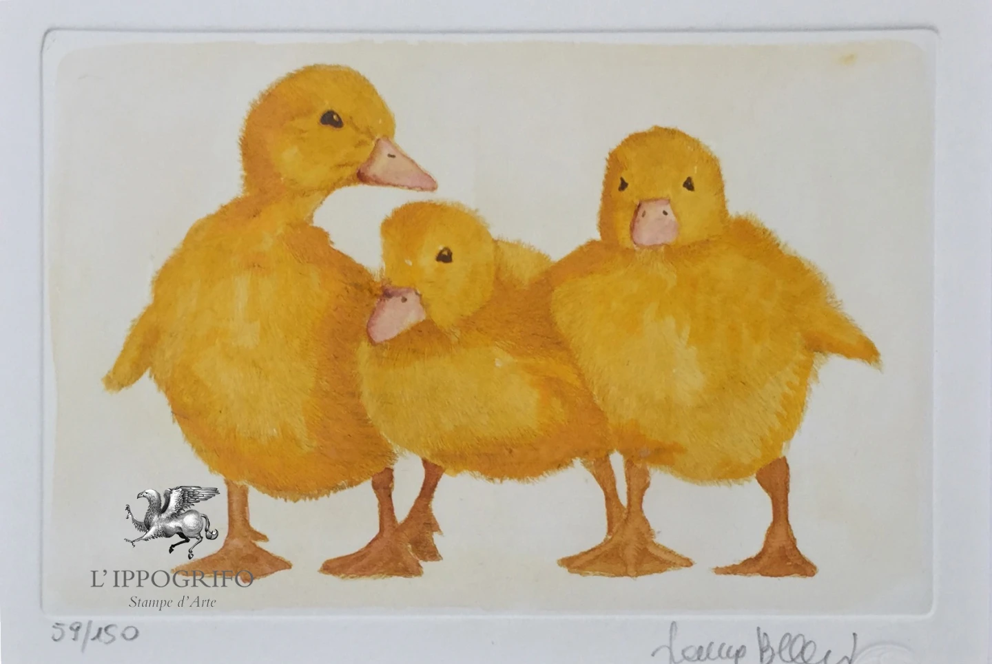 Ducklings