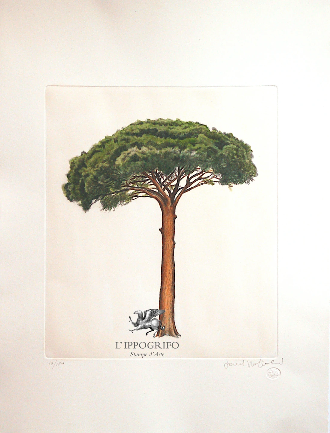 Pose Trees - Pine