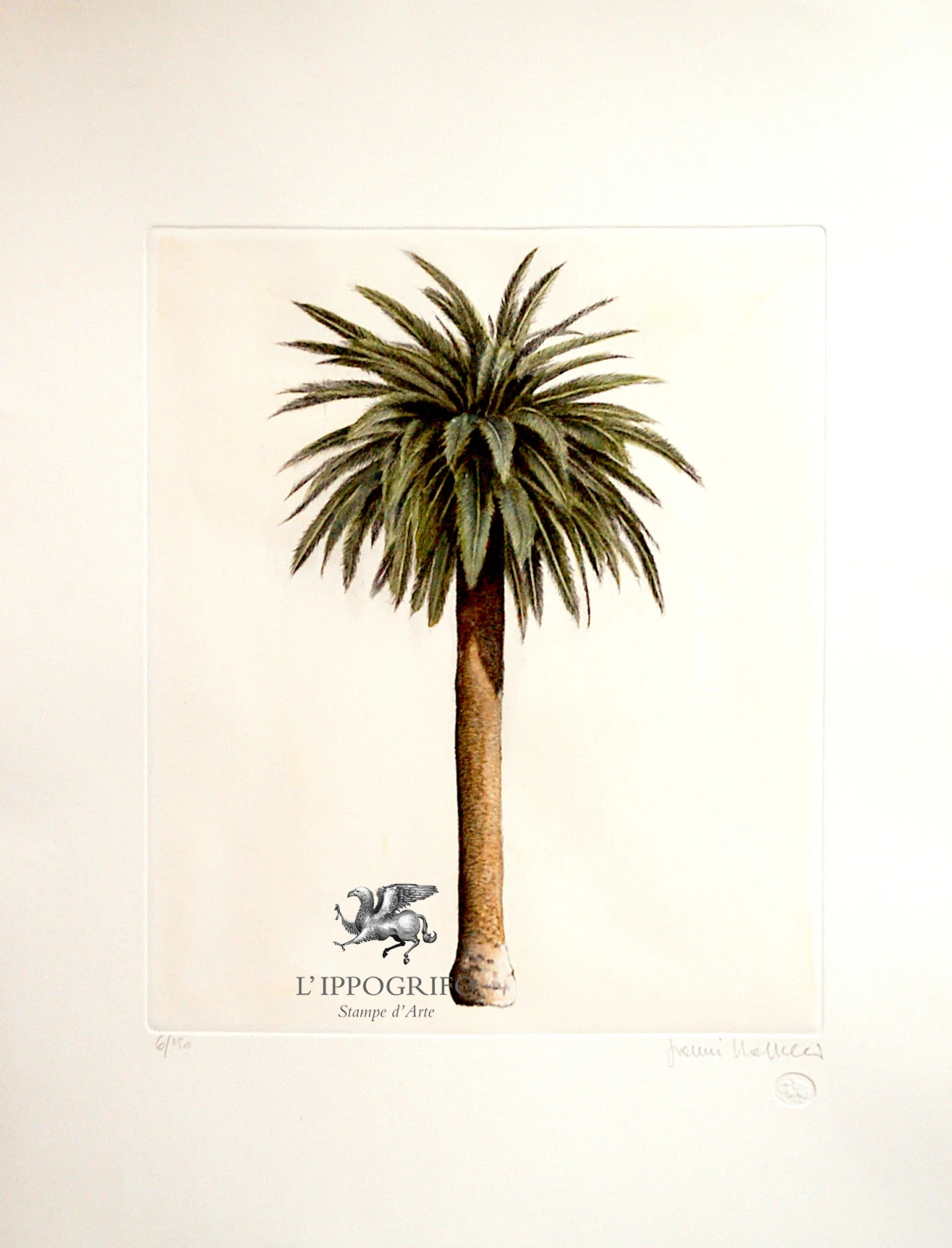 Pose Trees - Palm