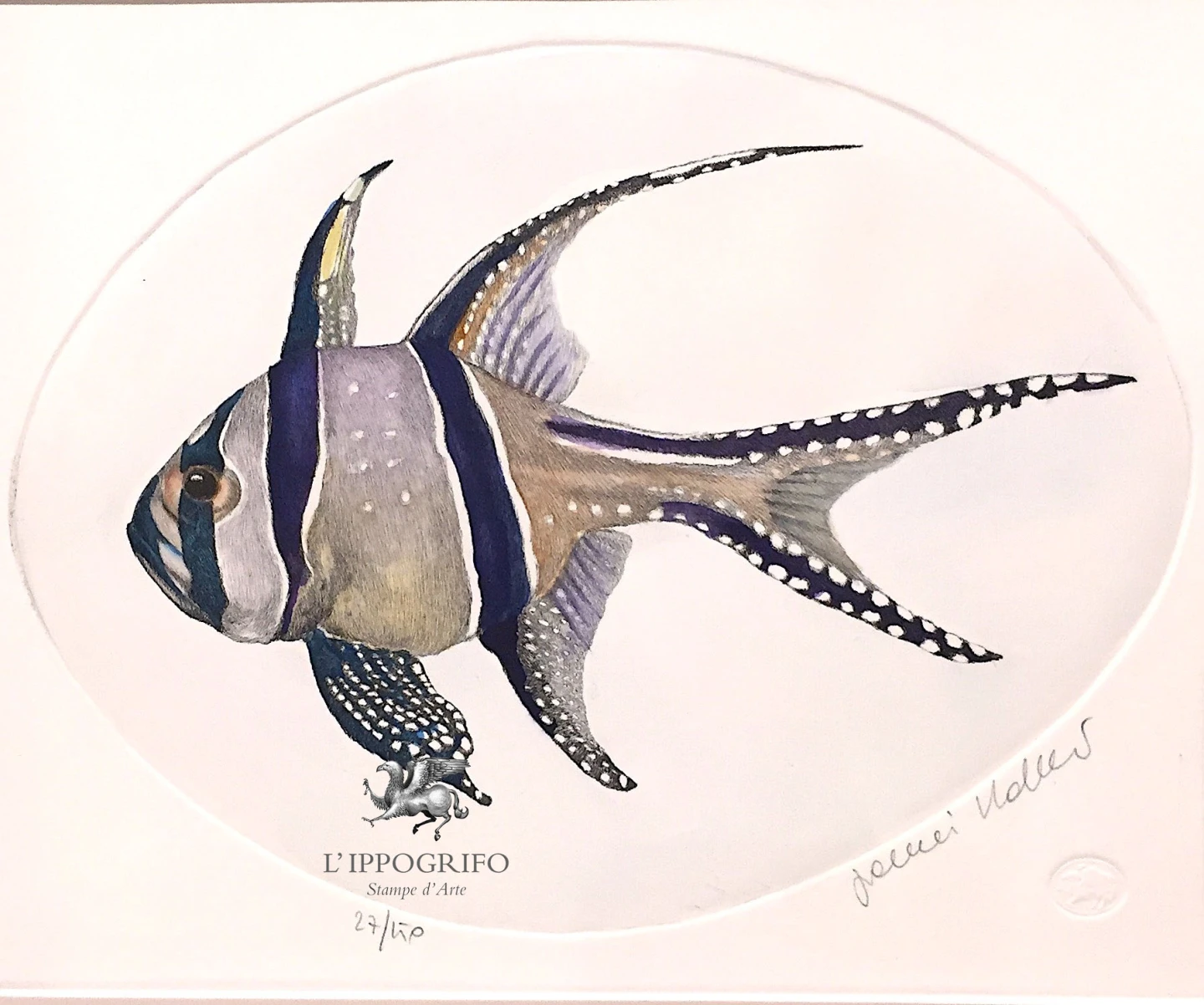 Pesce Cardinale