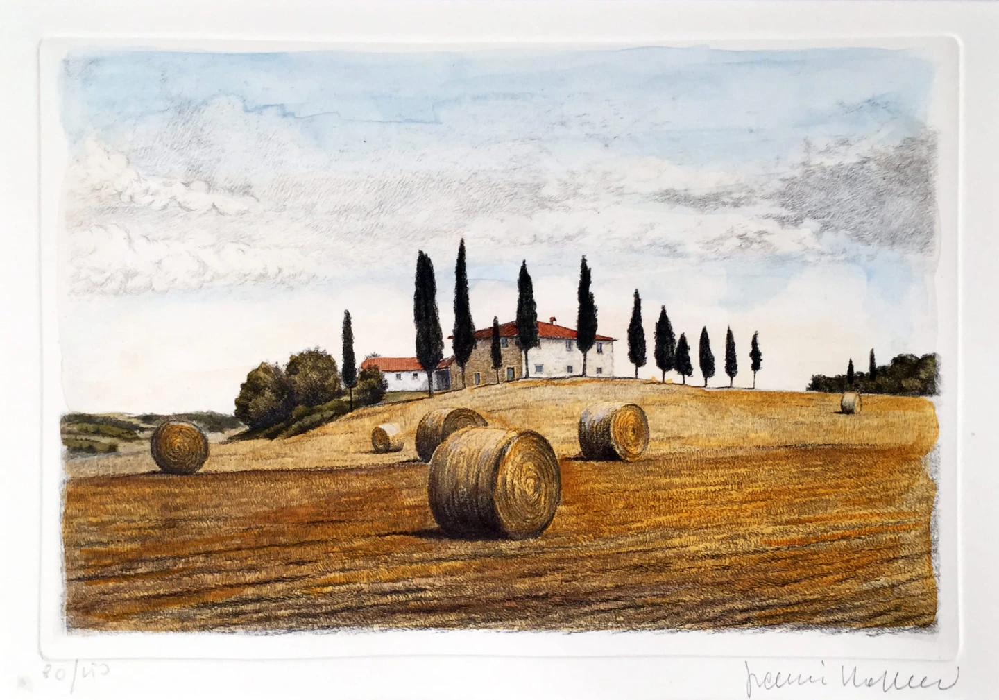 Sheaves in Val d'Orcia